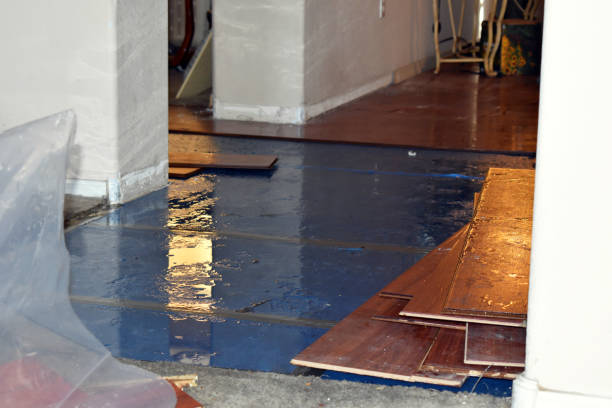 Professional Burst Pipe Cleanup technician working in Forest Falls, CA